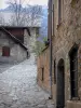 Allos - Calle pavimentada y las casas en el pueblo