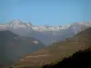 Alpenlandschaften der Savoie - Wälder und Berge