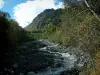 Alpenlandschaften der Savoie - Bäume, Wald und Wasserlauf mit Felsen