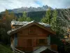 Alpenlandschappen van de Savoie - Houten chalet in Courchevel met bomen, bossen en bergtoppen