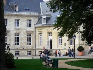 Amiens - Jardin de l'Évêché : ancien évêché, allée bordée de pelouses, branches d'un arbre