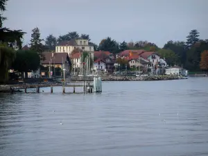 Amphion-les-Bains - Lake Geneva, port, houses and trees