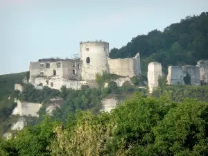 Les Andelys - Remains of Château-Gaillard (medieval castle) surrounded by greenery