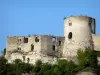 Les Andelys - Dungeon di Chateau Gaillard