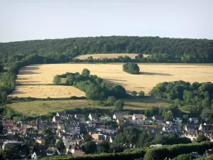 Les Andelys - Vista dei tetti delle case in Gran Andely ei campi circostanti