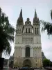 Angers - Fassade der Kathedrale Saint-Maurice und Zweige von Bäumen