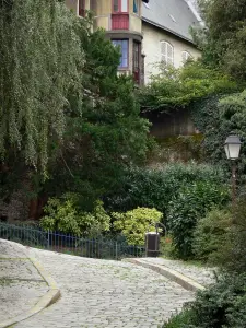 Angers - Häuser, Strassenlaterne, Bäume, Sträucher und Kopfsteinpflaster