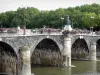 Angers - Pont de Verdun avec statue de Nicolas de Beaurepaire, lampadaires et fleurs, rivière Maine et arbres