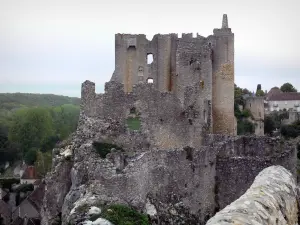 Angles-sur-l'Anglin - Ruins of the fortified castle (medieval fortress) dominating the River Anglin, houses of the village and trees