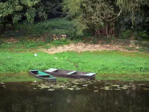 Angles-sur-l'Anglin - Anglin river, water lilies, boats and bank