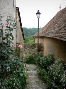 Angles-sur-l'Anglin - Pink (rosa), fiori, lampada e case del villaggio