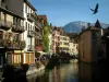 Annecy - Oiseau en plein vol avec vue sur le canal du Thiou, le palais de l'Île (vieilles prisons) abritant le musée de l'Histoire d'Annecy, le petit pont, le quai de l'Île (berge fleurie), les maisons aux façades colorées et la montagne en arrière-plan