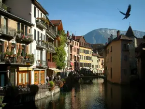 Annecy - Bird and view of the Thiou canal, Île palace (former prison) home to the Annecy History museum, small bridge, Île quay (flower-bedecked bank), houses with colourful facades and mountain in background