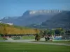 Annecy - Pelouses du Champ de Mars, lac d'Annecy, arbres (platanes) de l'avenue d'Albigny, collines et montagne