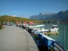 Annecy - Berge des jardins de l'Europe, bateaux amarrés, lac d'Annecy, arbres (platanes) de l'avenue d'Albigny et montagnes