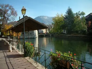 Annecy - Flower-bedecked bank with a lamppost, the Thiou canal, trees, houses of the old town and mountain in background