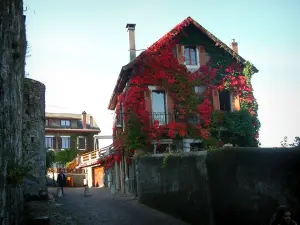 Annecy - Acera que lleva al castillo y el museo de las casas cubiertos de hiedra en otoño