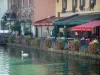 Annecy - Thiou canal con un cisne (aves acuáticas), las flores, la base (la costa), los restaurantes y casas con fachadas de colores