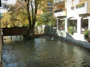 Annecy - Thiou canale con un (uccelli acquatici) cigno, blocco, edifici e alberi dai colori autunnali
