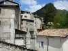 Annot - Häuser der Altstadt, Bäume und Sandstein von Annot (Felsen) im Hintergrund