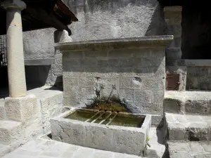 Annot - Città Vecchia: Fountain