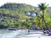 Anse à l'Âne - Balade sur la plage de sable bordée de palmiers