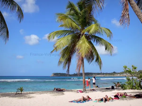 Anse-Bertrand - Playa de la capilla con sus palmeras, arena blanca y vistas al mar Caribe y la ciudad de Anse-Bertrand ; en la isla de Grande - Terre