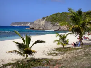 Anse-Bertrand - Laborde playa cala de arena blanca, palmeras y vistas de los acantilados