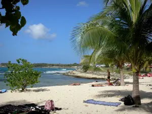Anse-Bertrand - Playa de la capilla con sus palmeras, arena y vistas al mar Caribe blanco y la ciudad de Anse-Bertrand
