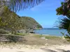 Anse Maurice beach - Landscape near the beach