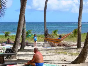 Anse Michel - Luieren onder de kokospalmen, met uitzicht op de Atlantische Oceaan