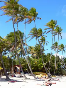 Anse Michel - Ontspannen onder de kokospalmen op het witte zand strand