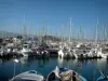 Antibes - Hafen Vauban und seine Boote, Fort Carré im Hintergrund