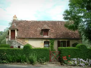 Apremont-sur-Allier - House in the village with tree, plants and flowers