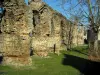 Aqueduc romain du Gier - Arches (vestiges) de l'aqueduc, à Chaponost