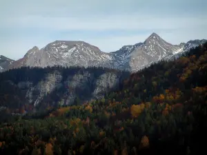 Aravis massif - Forest in autumn and mountains of the Aravis mountain range