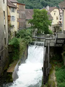 Arbois - Fluss Cuisance, Häuser der Stadt und Bäume