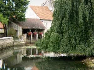 Arc-en-Barrois - River Aujon, flower-bedecked wash-house and trees at the water's edge