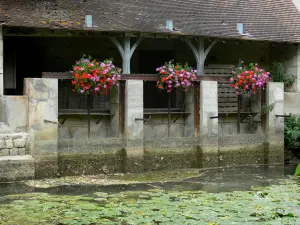 Arc-en-Barrois - Mit Blumen verziertes Waschhaus, am Flussufer Aujon