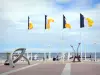 Arcachon - Vlaggen bij de ingang van de pier Thiers