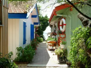 Arcachon bay - Flower-bedecked oyster huts 