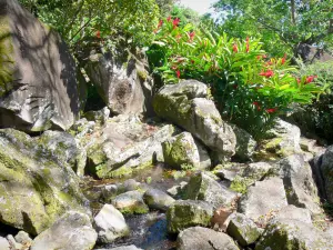 Archäologischer Park der gravierten Felsen - Vulkanische Gestein Ansammlung inmitten des üppig bewachsenen Gartens