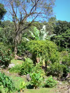 Archäologischer Park der gravierten Felsen - Garten des archäologischen Parks mit üppigem Pflanzenwuchs