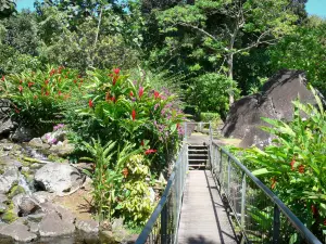 Archäologischer Park der gravierten Felsen - Steg, vulkanische Gestein Ansammlung und tropischer Pflanzenwuchs des Parks