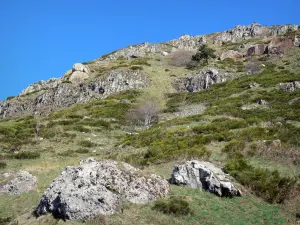 Ardèche Gebirge - Felsen und Bodenbewuchs
