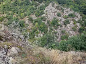 Ardes - Gorges de la Couze d'Ardes ; dans le Parc Naturel Régional des Volcans d'Auvergne