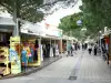 Argelès-sur-Mer - Allee gesäumt von Boutiquen und Kiefern