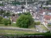 Argenton-sur-Creuse - From the terrace of the Bonne-Dame chapel, view of the bell tower of the Saint-Sauveur church and houses of the old town below