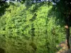 Argenton-les-Vallées - Vallée de l'Ouère : arbres se reflétant dans les eaux du lac d'Hautibus