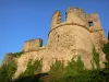 Argenton-les-Vallées - Overblijfselen van versterkte kasteel van Philip de Commynes